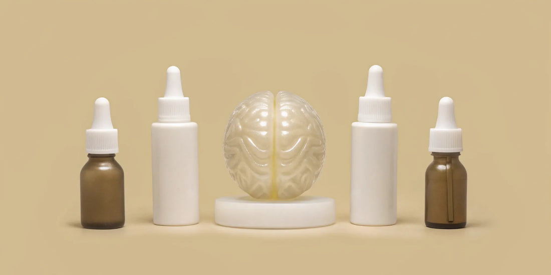 Best postbiotic supplements in dropper bottles with a brain model for gut and brain health.