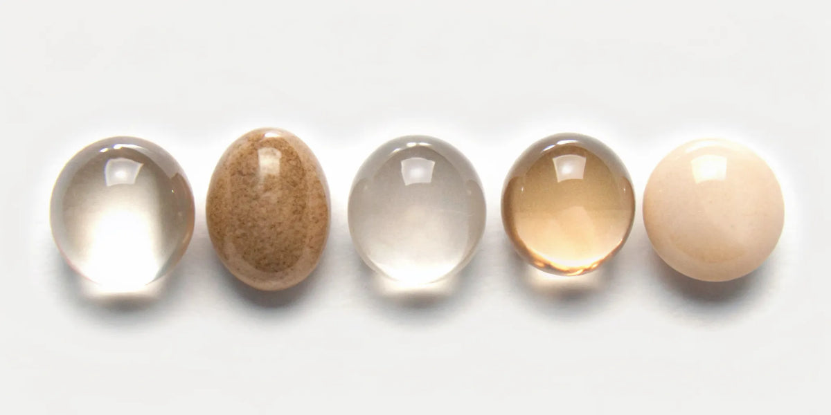 What to look for in high-quality probiotic and postbiotic gut health supplement capsules.