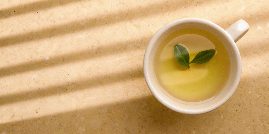 A sunlit cup of herbal tea, a natural mood enhancer for depression.