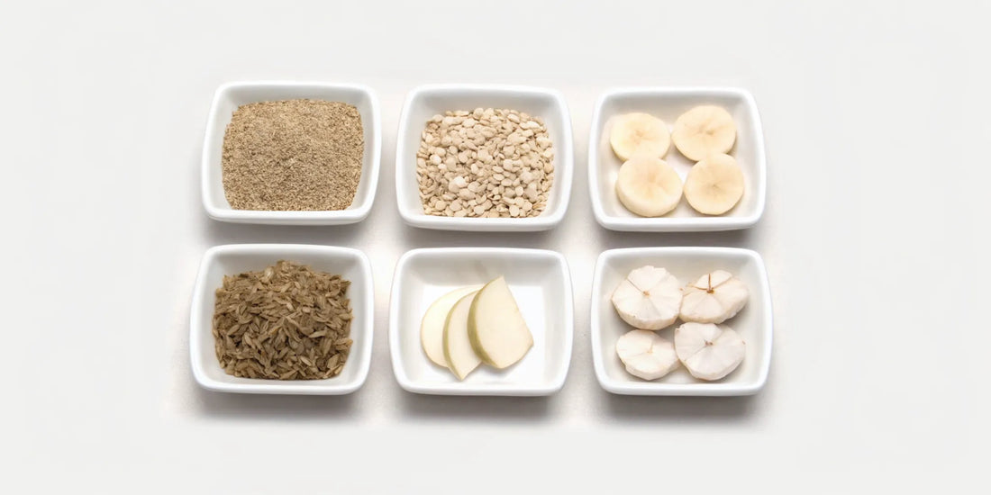 A selection of probiotic alternative foods in bowls to support gut health.