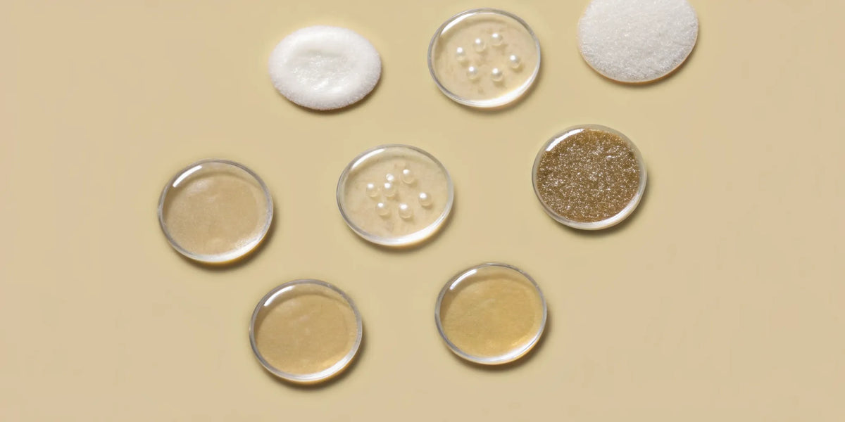 Examples of postbiotics in petri dishes for a calmer gut.