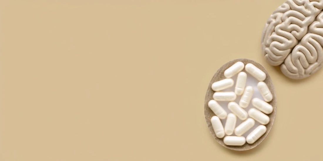 Postbiotic capsules in a bowl next to a brain model, for gut and mind benefits.