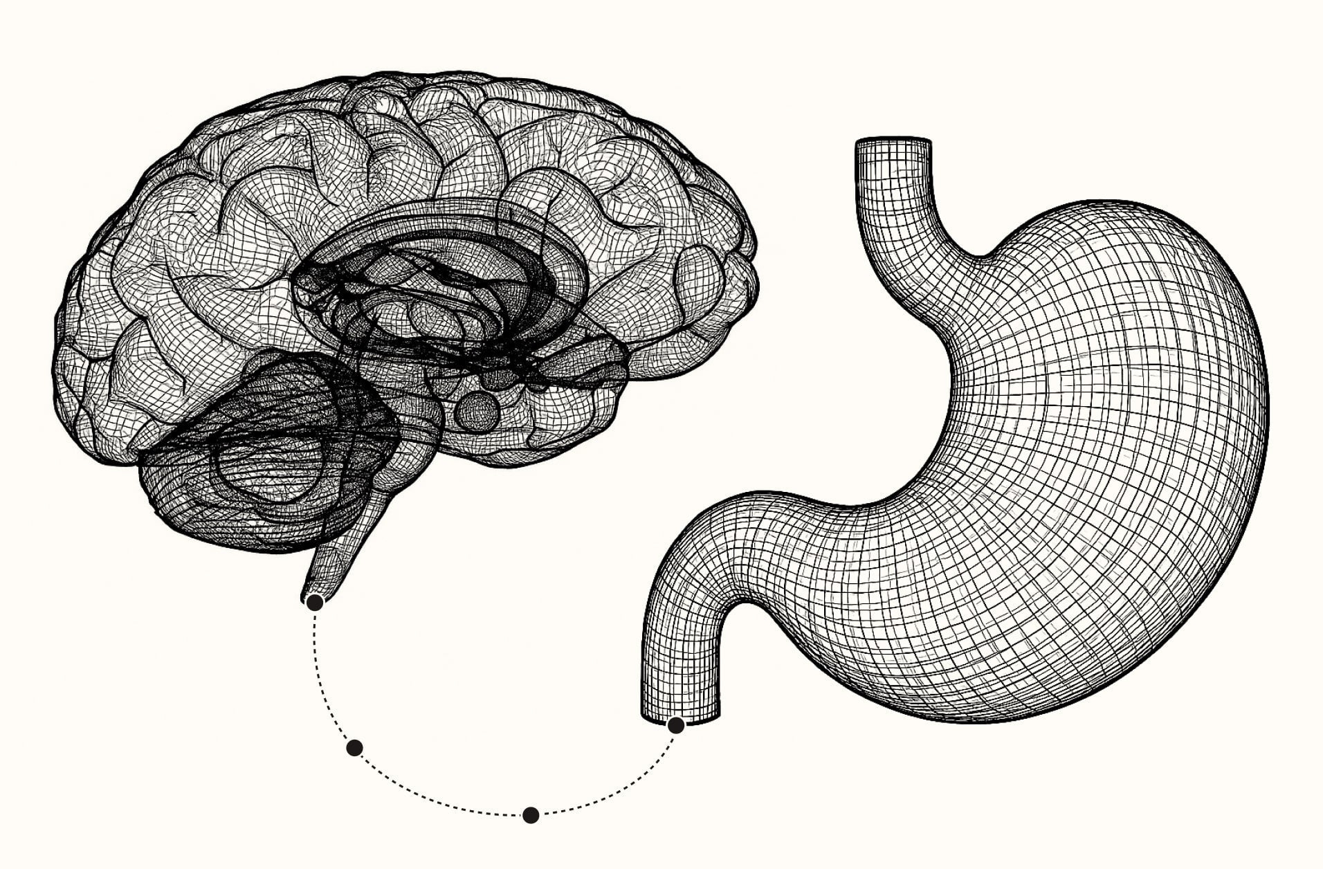 gut brain axis, gut-brain axis image - brain and stomach are connected