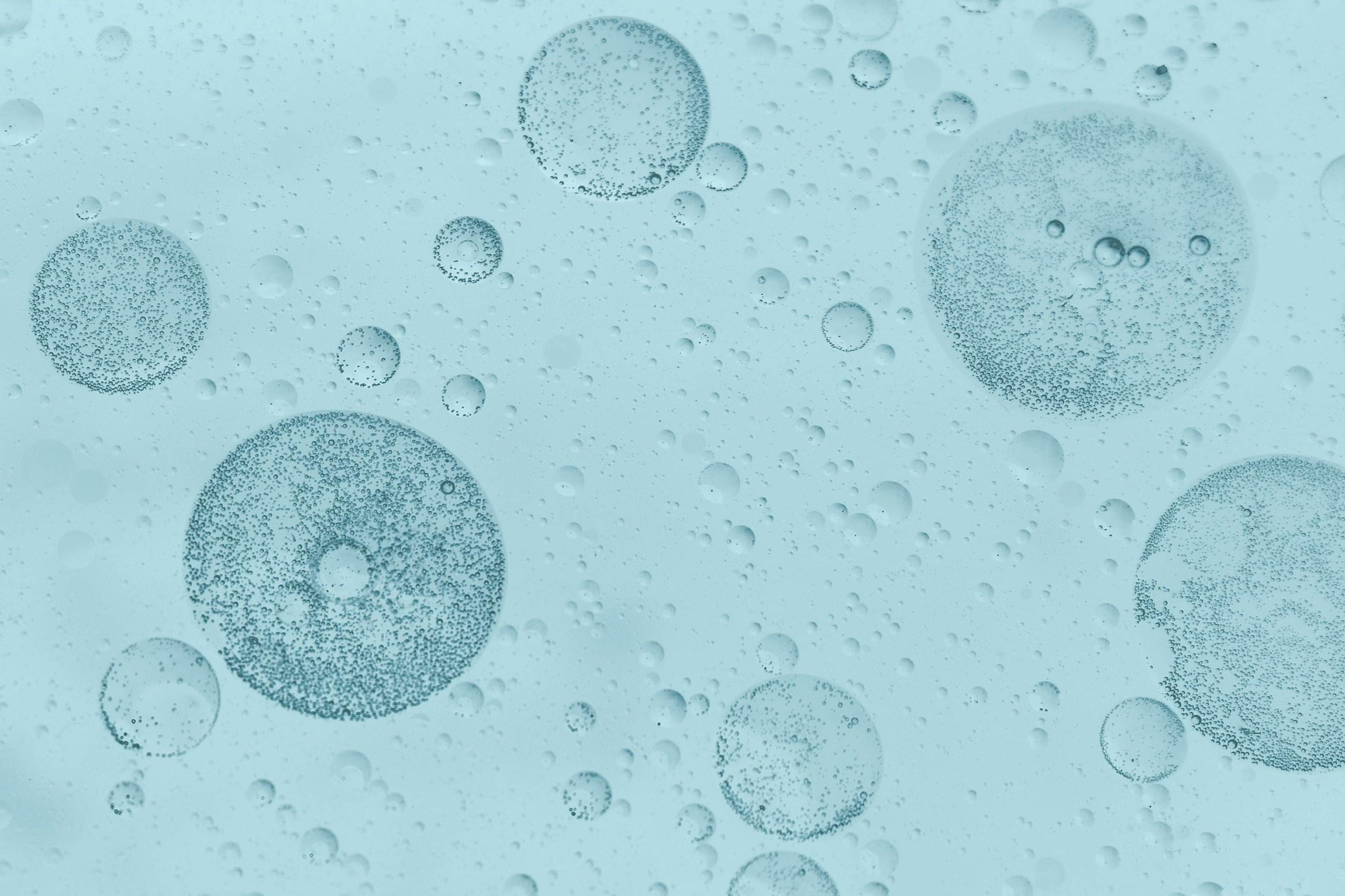 what are postbiotics? | a complete guide