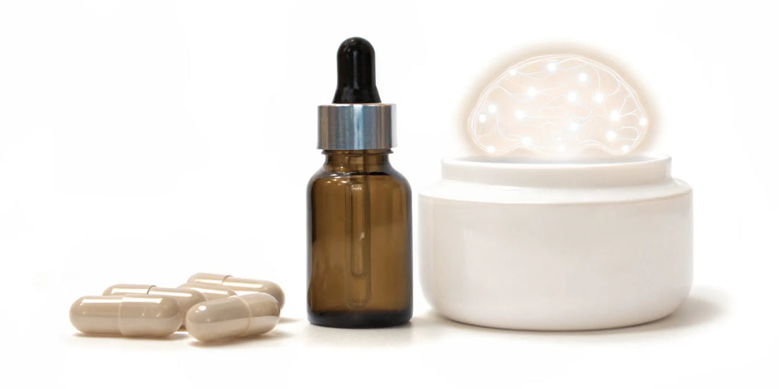 Postbiotic capsules and supplements to buy for gut-brain axis support.