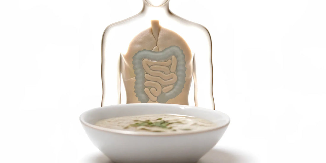 A diagram of the digestive system and a healthy meal for comprehensive gastrointestinal health.