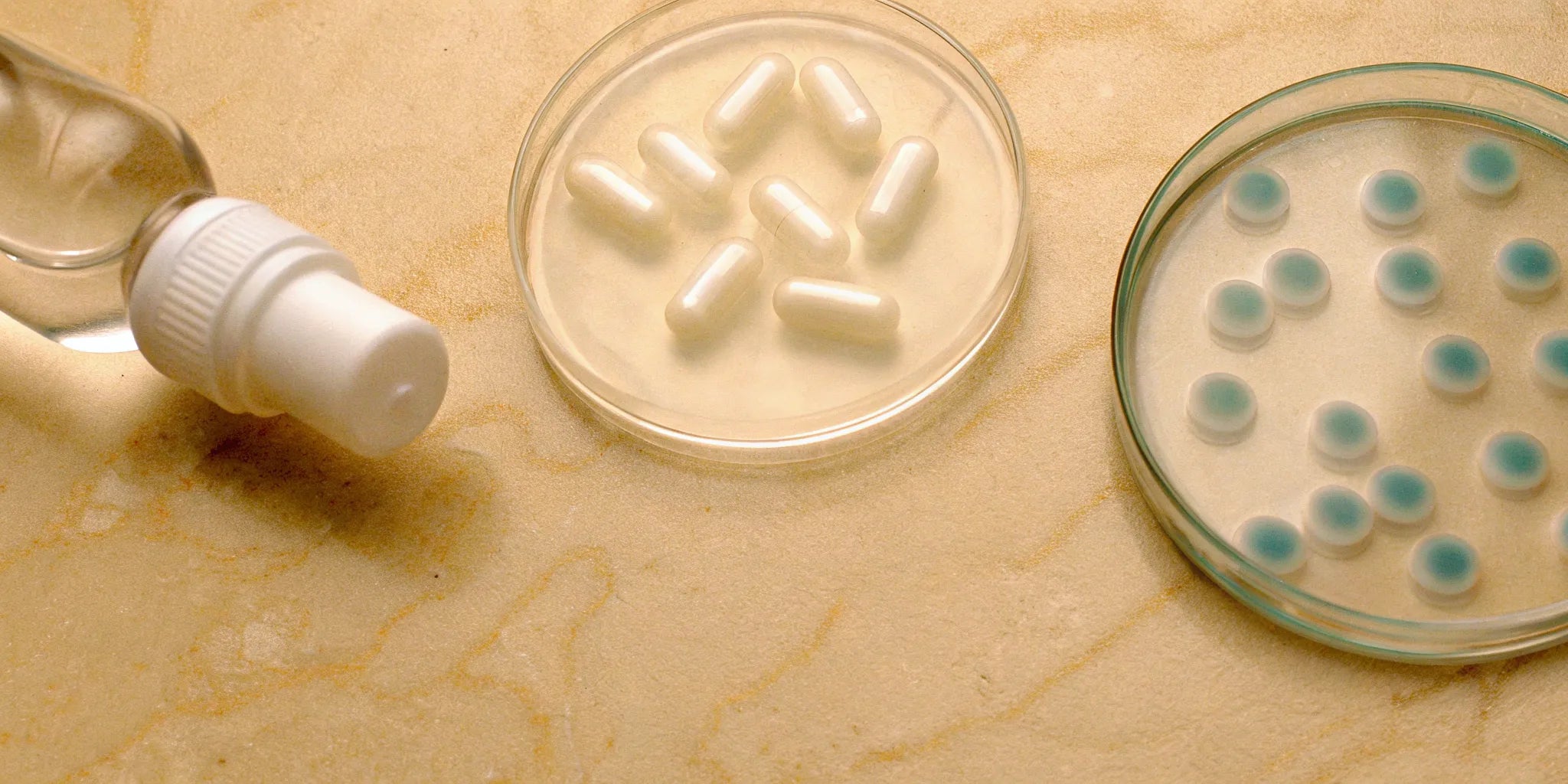Gut based mood balance supplement capsules in petri dishes.