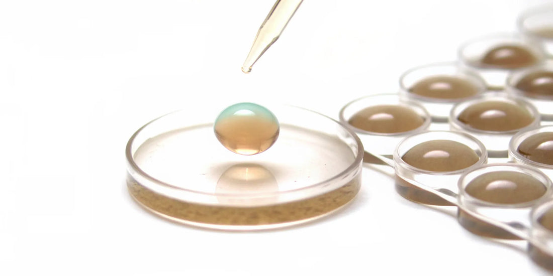 Postbiotics in a petri dish with a dropper for immune system support.