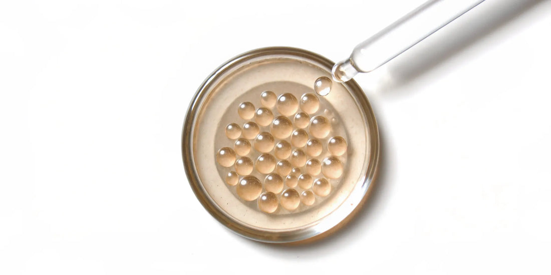 Postbiotic bacteria metabolites in a petri dish with a scientific dropper.