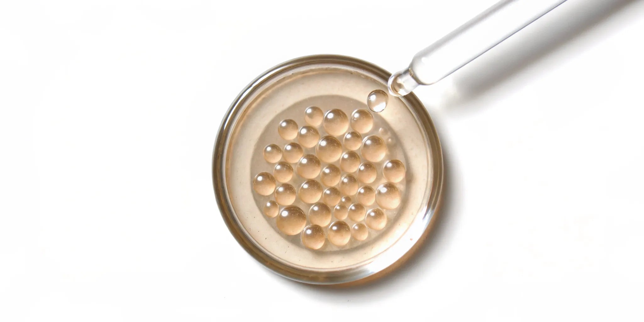 Postbiotic bacteria metabolites in a petri dish with a scientific dropper.