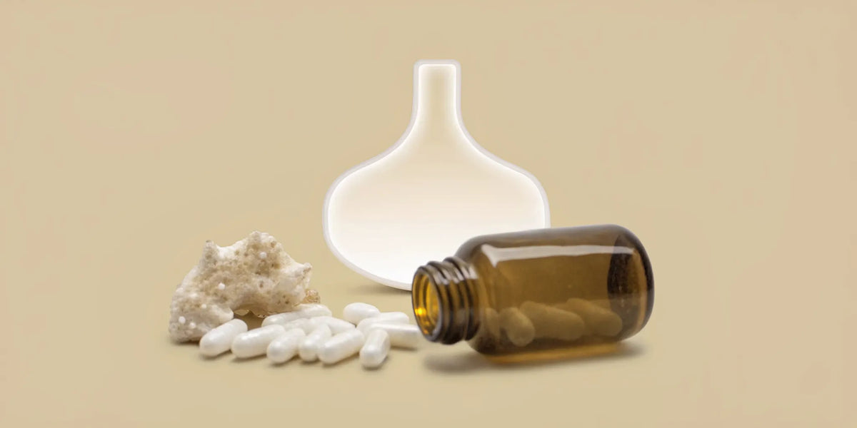 Postbiotic capsules, a gentler choice than probiotics for sensitive stomachs.