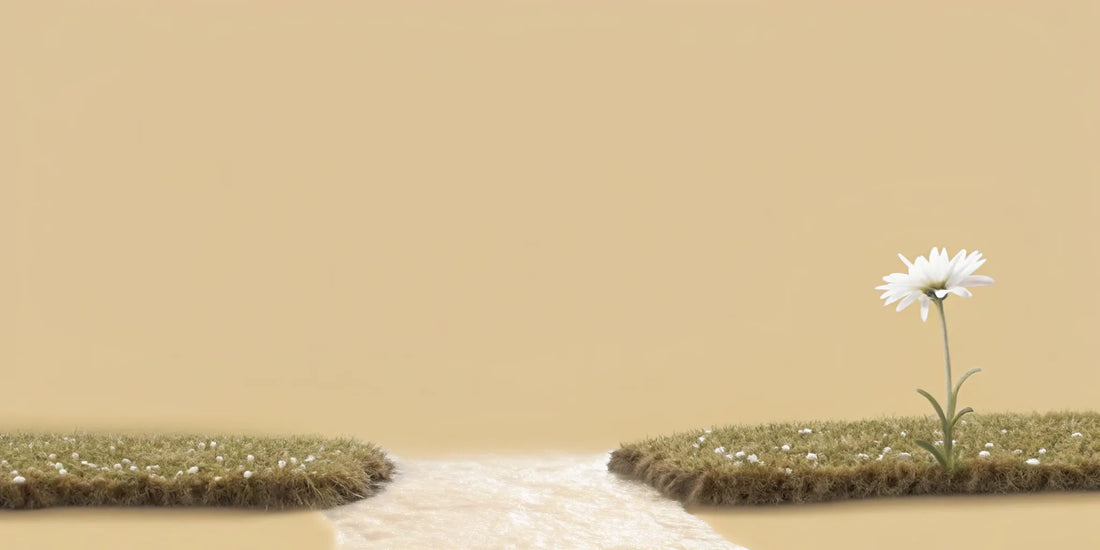 A healthy white daisy thriving, a sign of how postbiotics are good for your gut and brain.