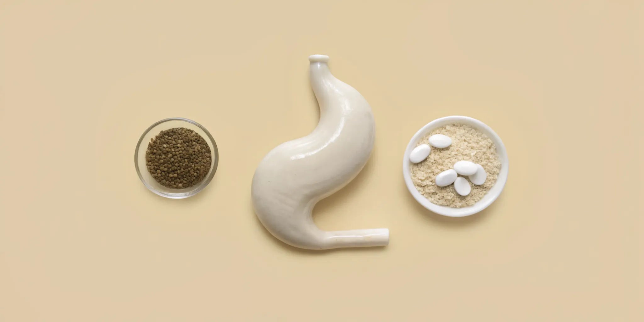 Bowls of the best over the counter medication for bloating next to a stomach model.
