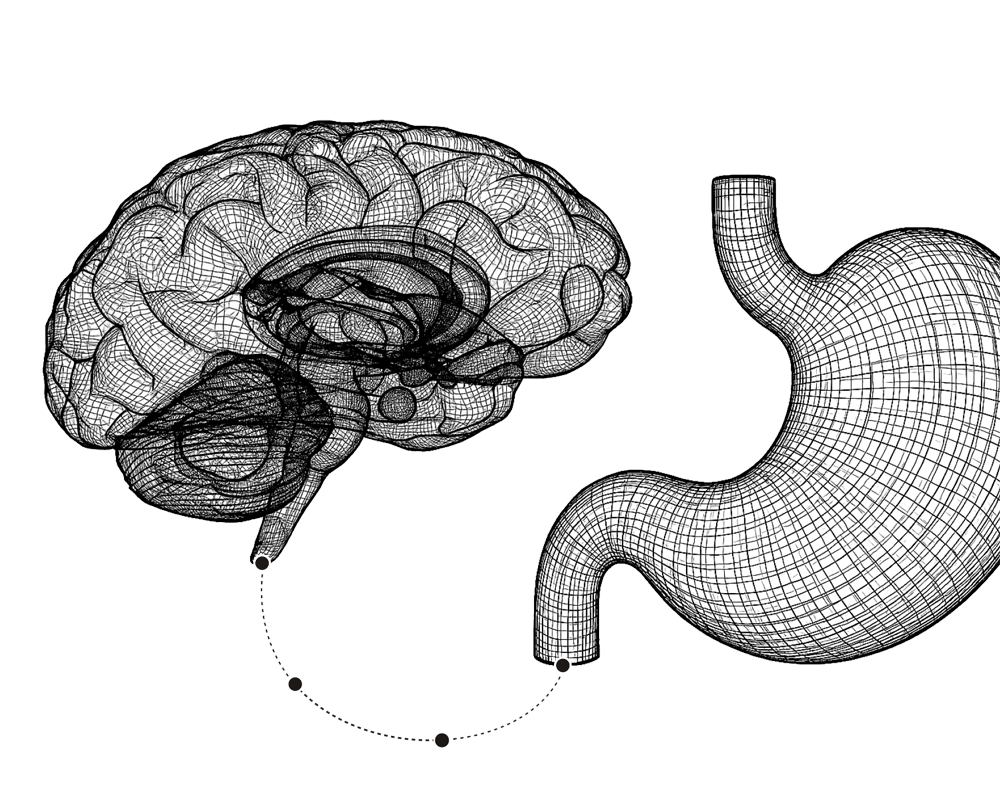 gut-brain heal the gut