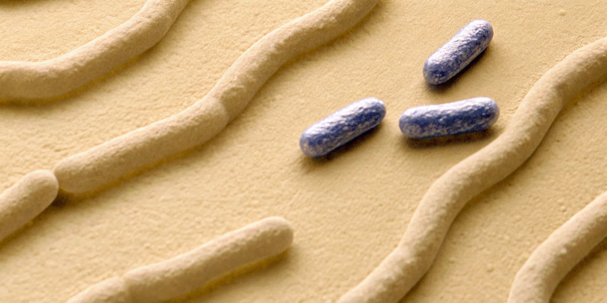 Peaceful sleep and the gut-brain connection