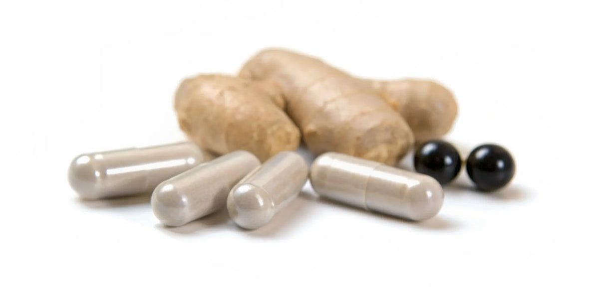 Digestive health supplements with botanical ingredients