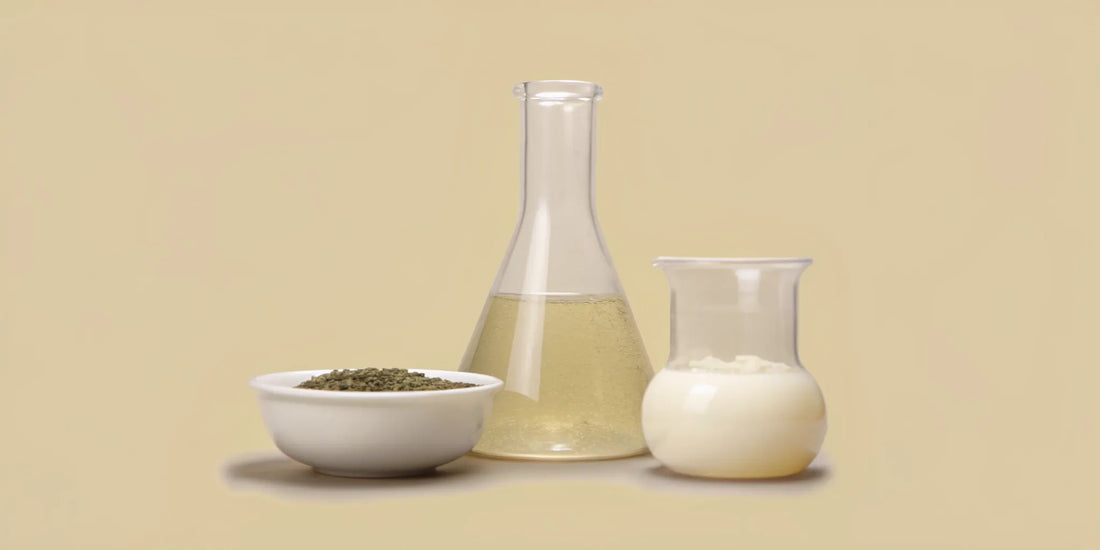 A variety of fermented foods, a natural source of postbiotics for gut calm.