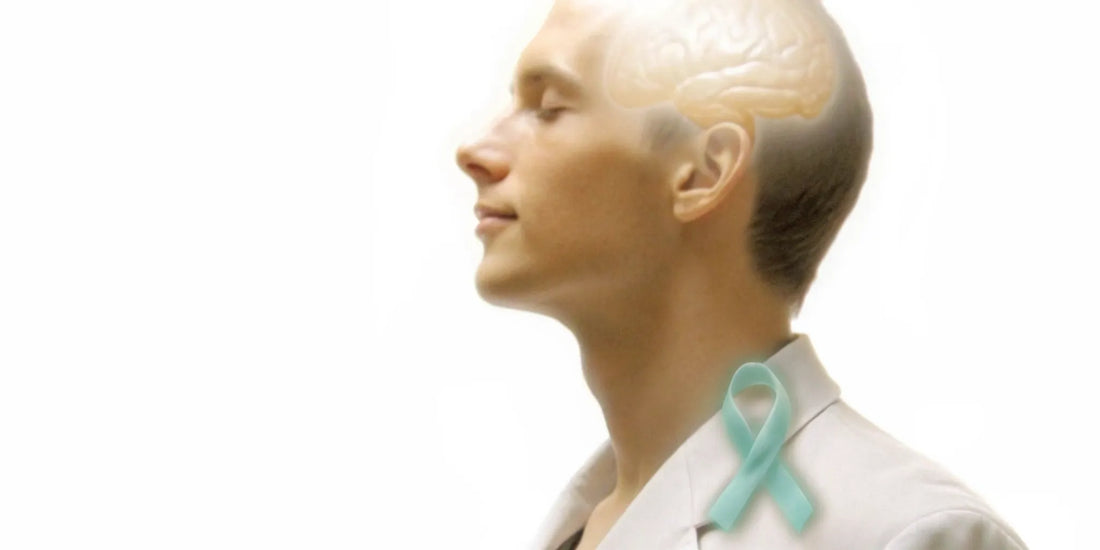 A man's profile with the gut-brain axis highlighted, linking gut health to stress management.