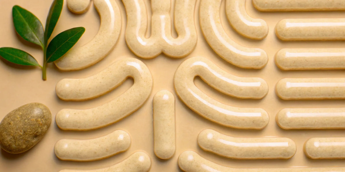 Abstract gut and brain connection with botanicals