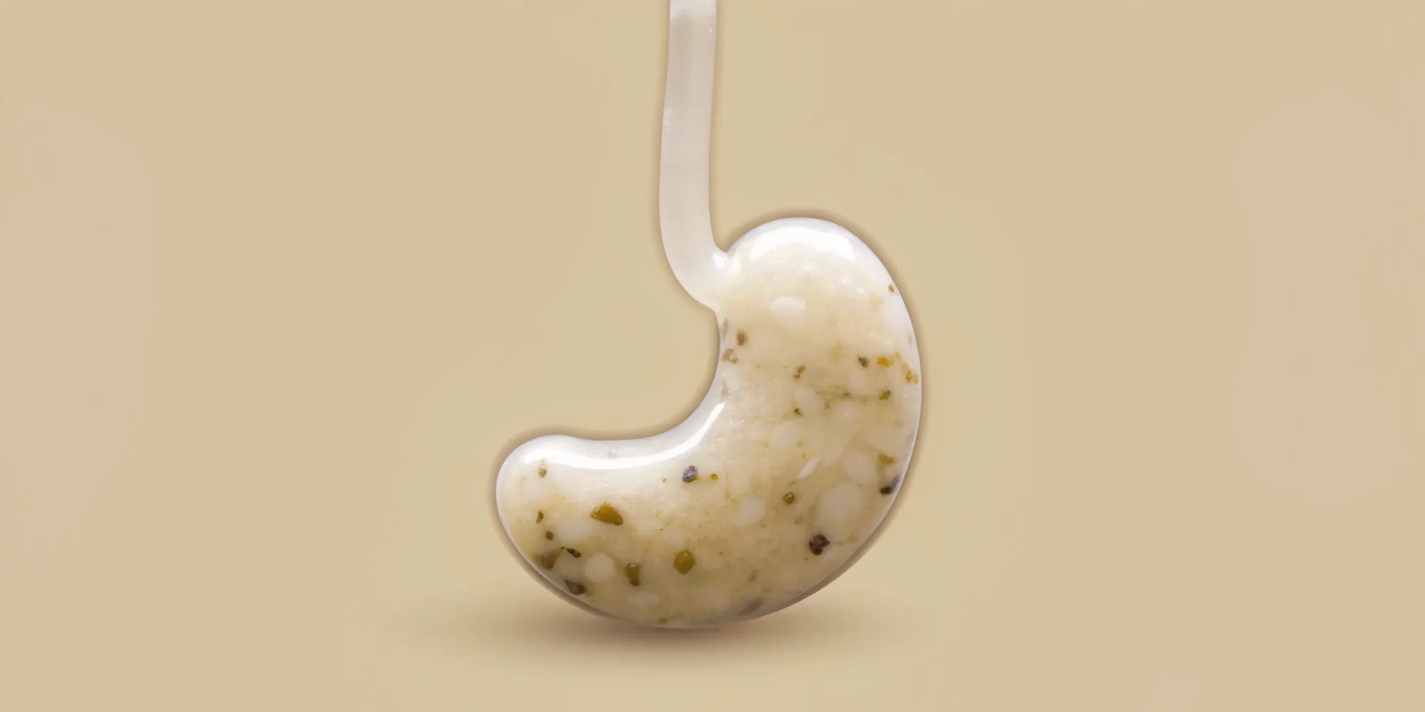 A model of the gut showing the connection between gut health, diet, and brain fog.