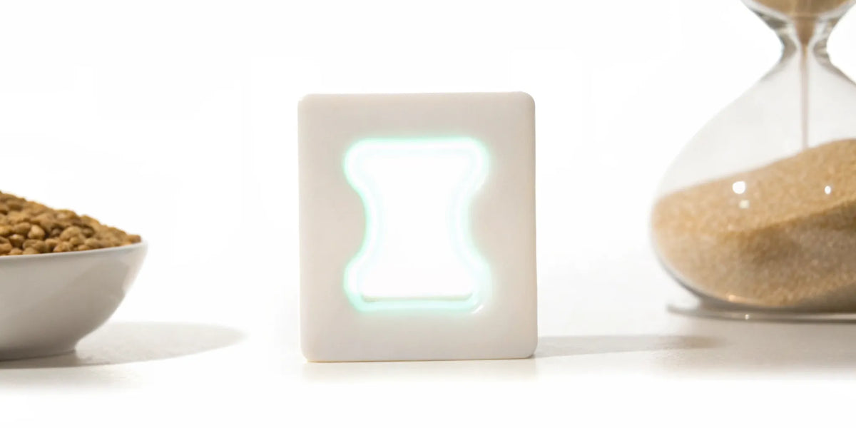 A glowing postbiotic supplement showing how it works for bloating, digestion, and regularity.