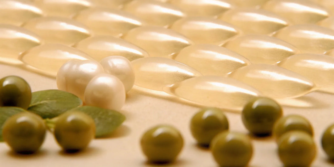 Postbiotic plant protein capsules and supplements for gut-barrier health.