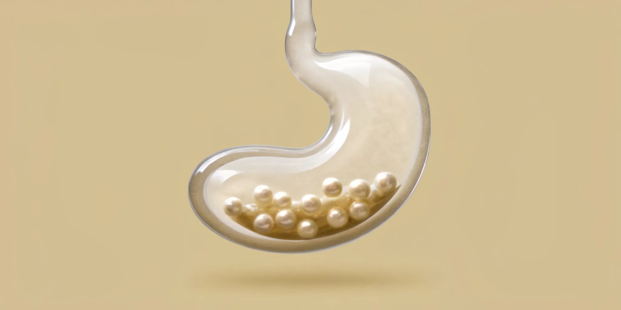Pearl-like postbiotics inside a transparent stomach providing relief for bloating.