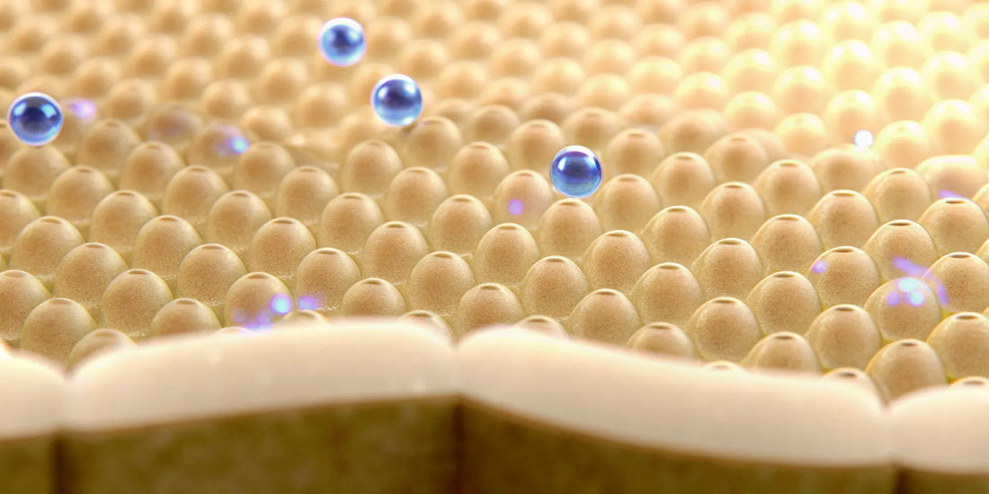 Microscopic visualization of postbiotic compounds interacting with immune cells in the gut lining
