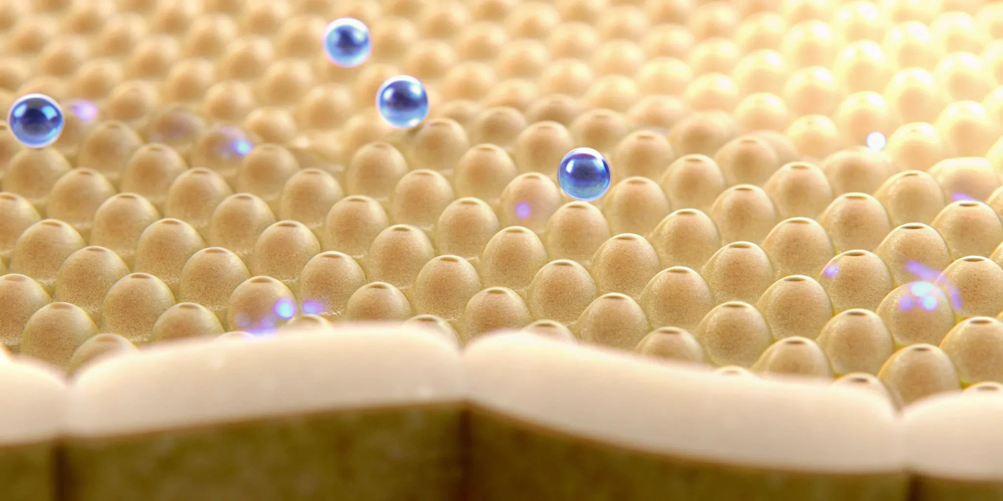 Microscopic visualization of postbiotic compounds interacting with immune cells in the gut lining