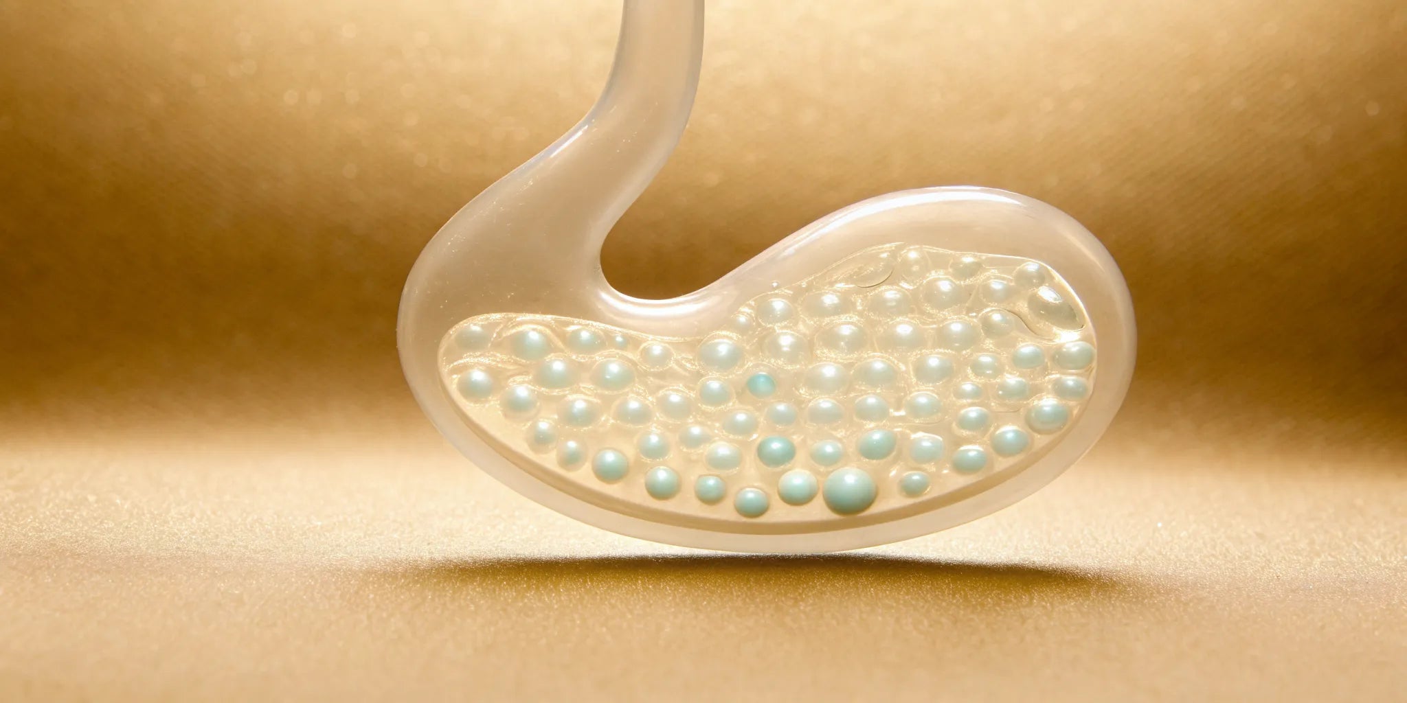 Postbiotics inside a transparent stomach model supporting the immune system.