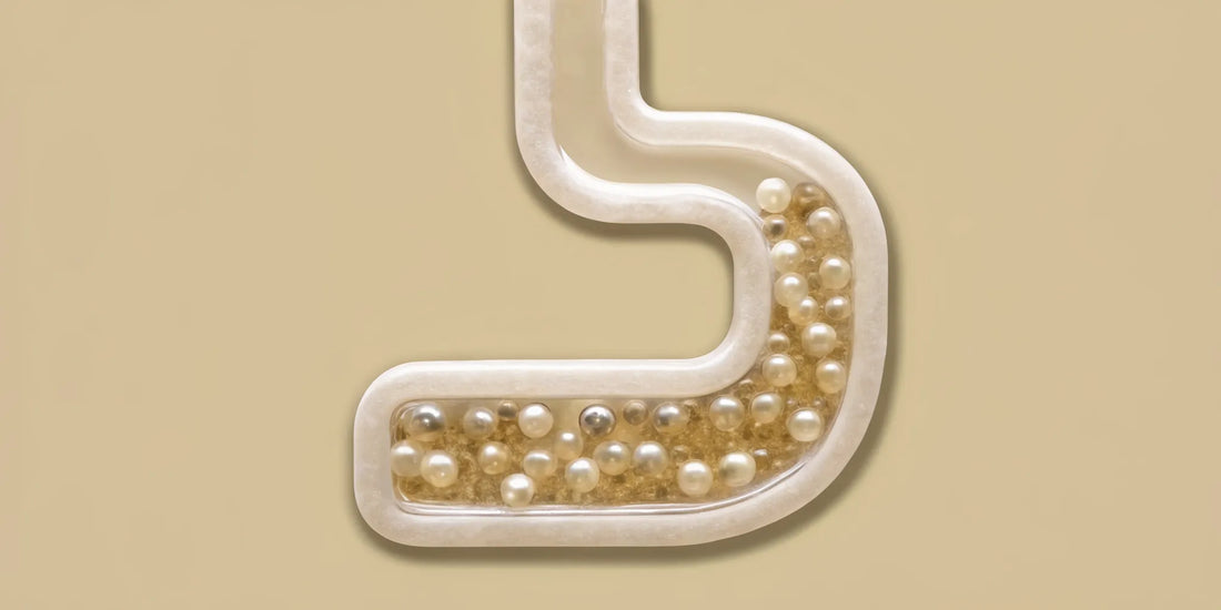 How postbiotics work to balance the gut microbiome and improve mood and mental clarity.