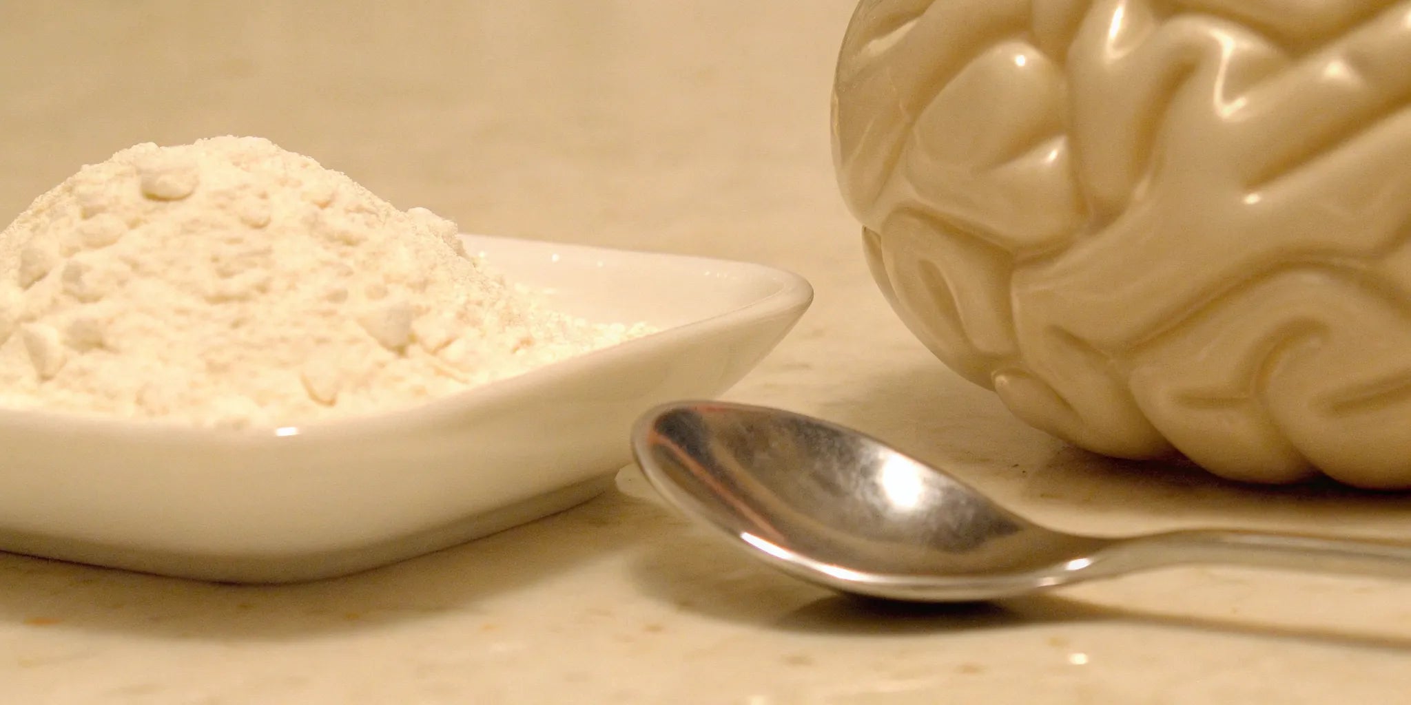 A brain model with a dish of powder, the best postbiotic for anxiety and mood.