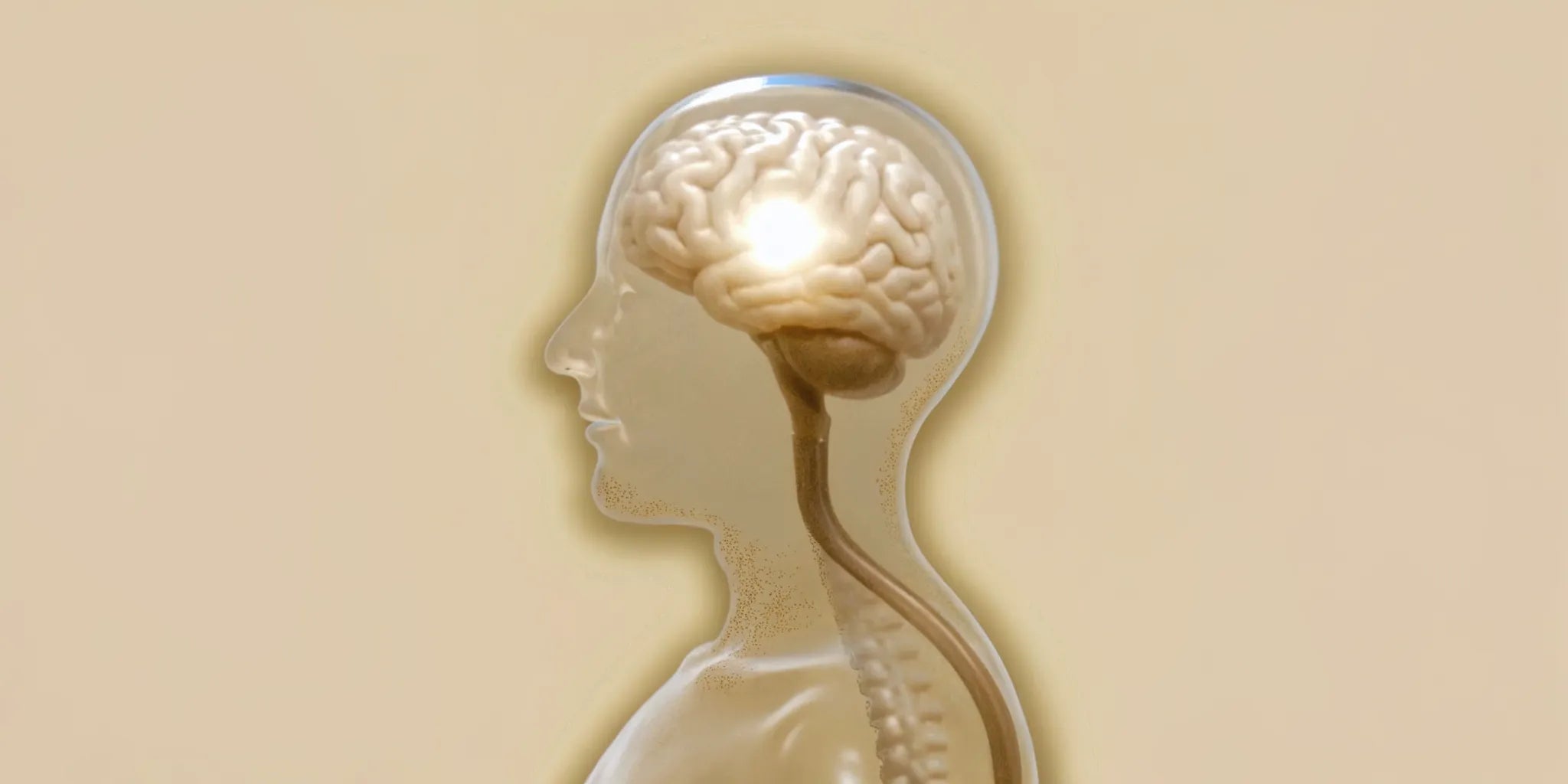 Human silhouette showing the brain-gut connection and its link to anxiety.