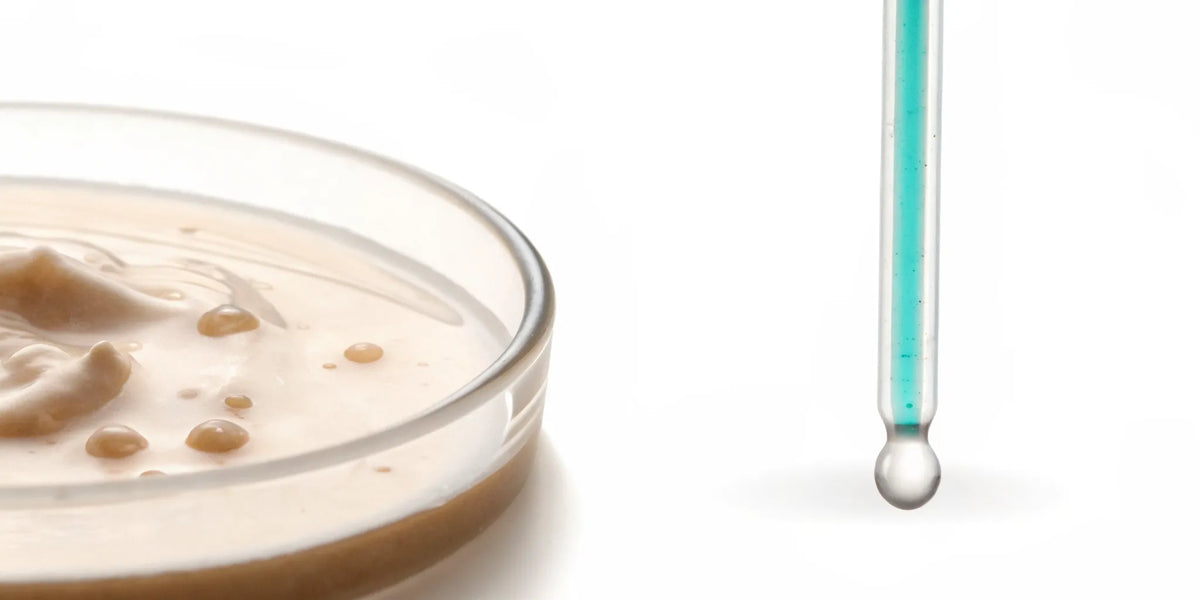 Probiotic culture in a petri dish vs postbiotic liquid in a dropper.