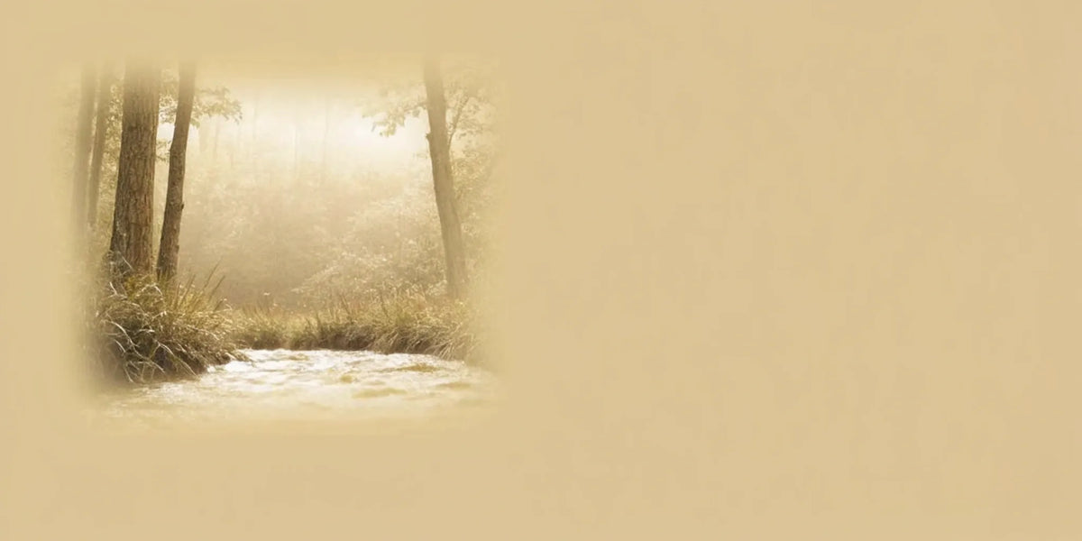 A calm forest stream, reflecting the natural relief from supplements for anxiety.