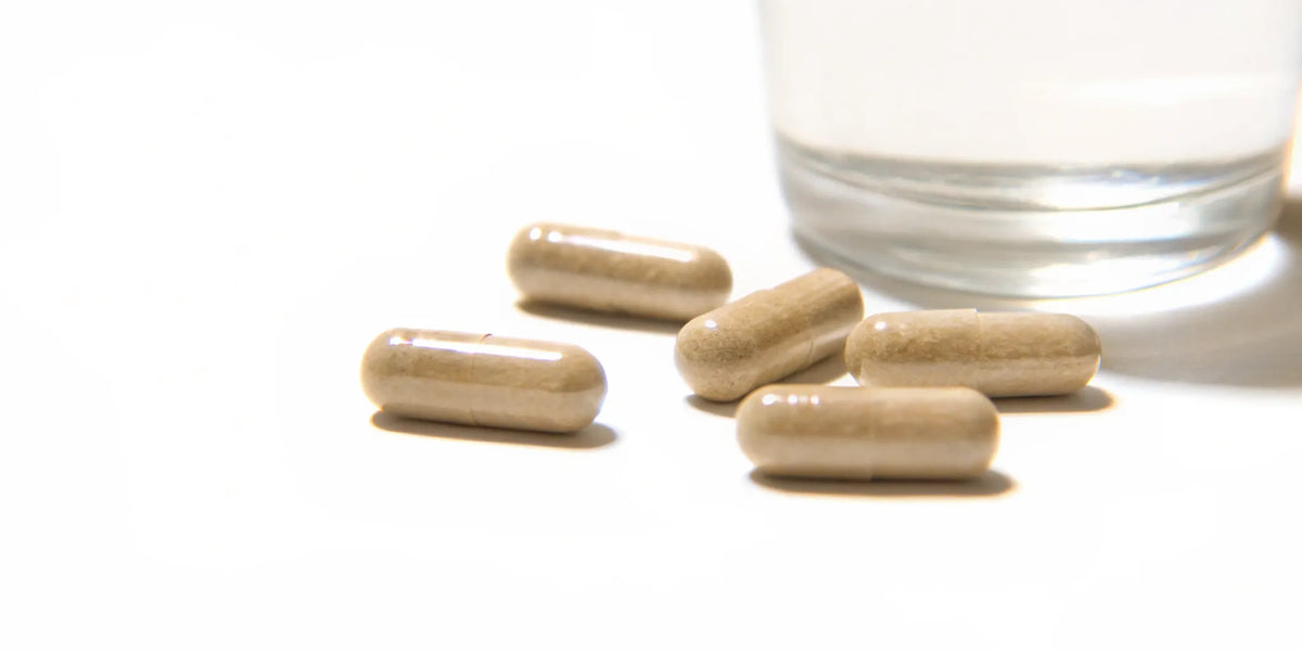 Postbiotic supplements for gut-brain support