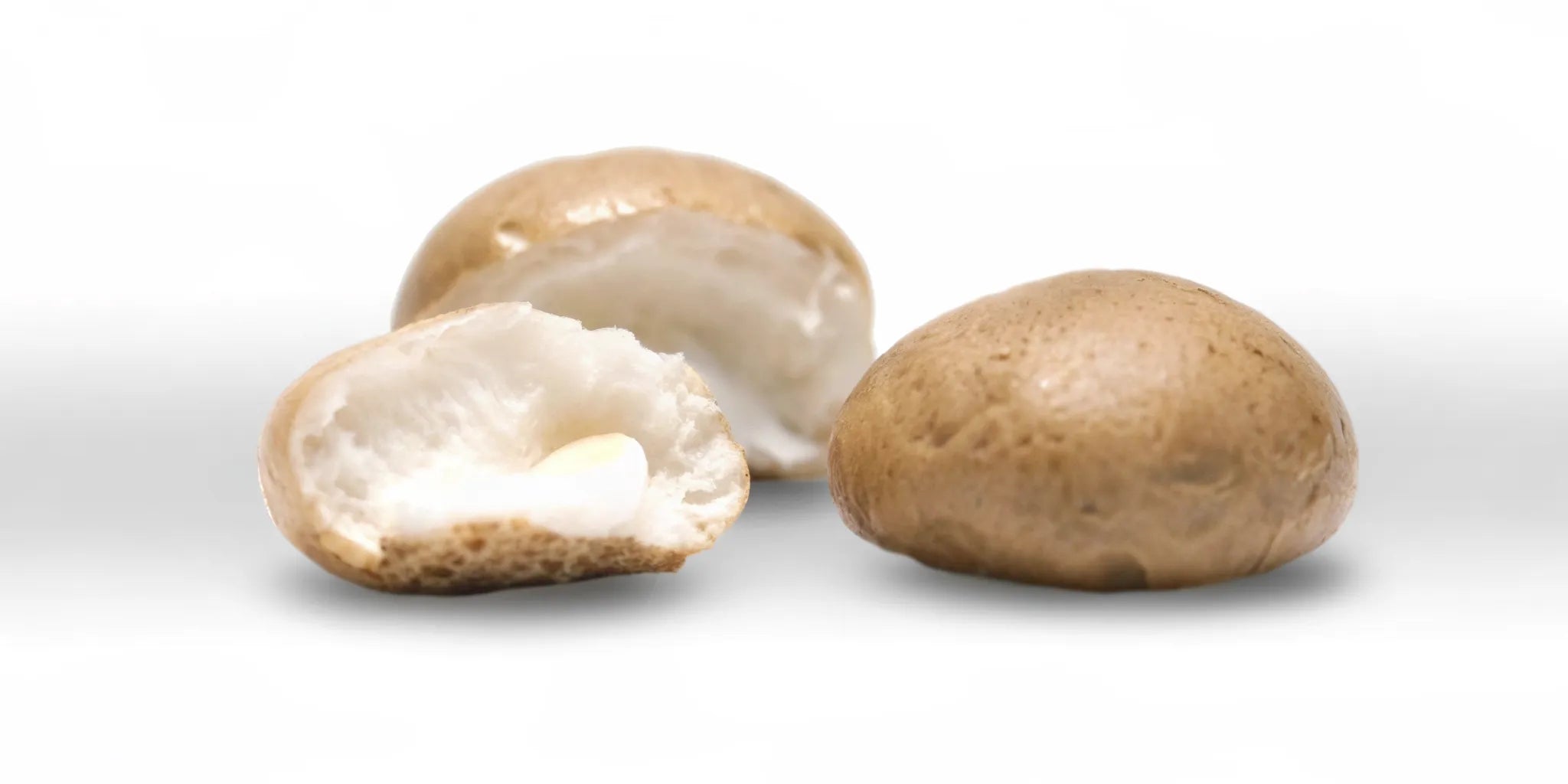 Postbiotic supplement capsules for inflammation reduction.