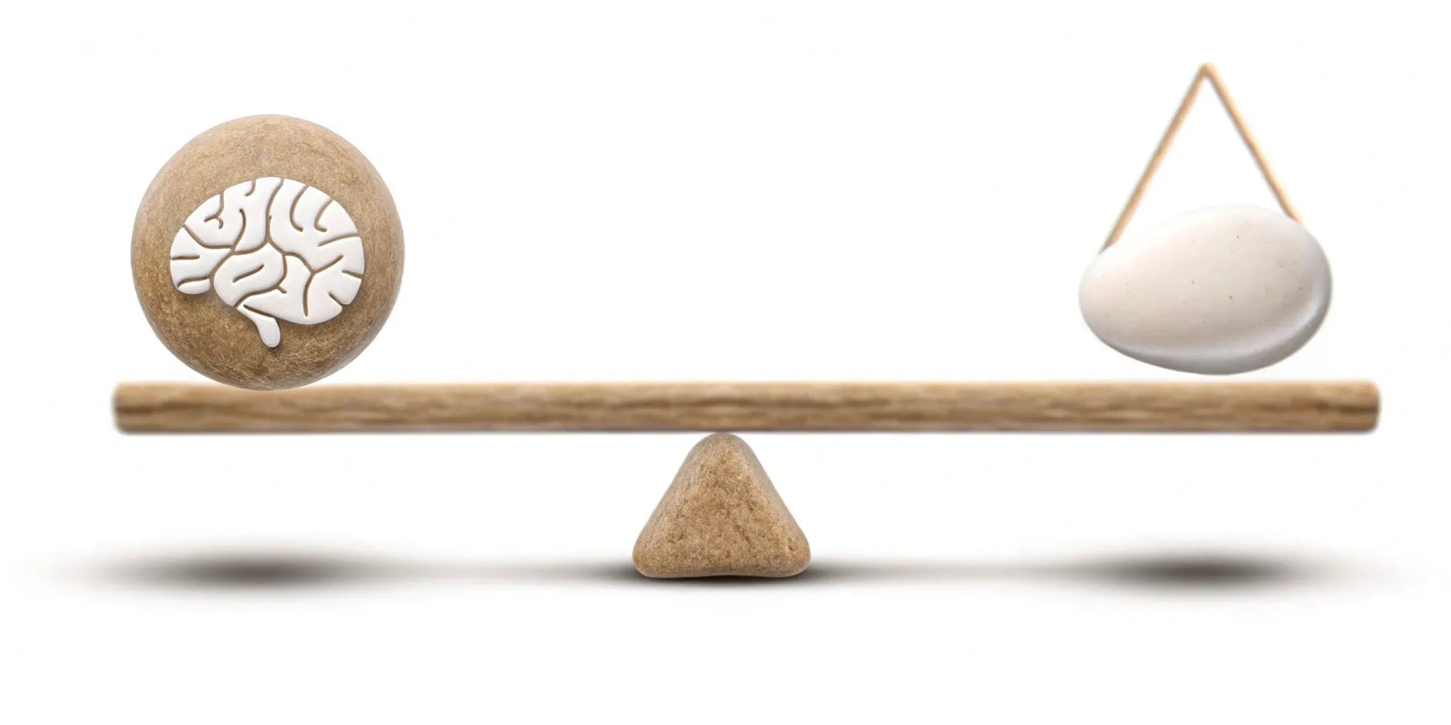 A brain icon and a stone balanced on a seesaw, achieving gut-brain balance with postbiotics.