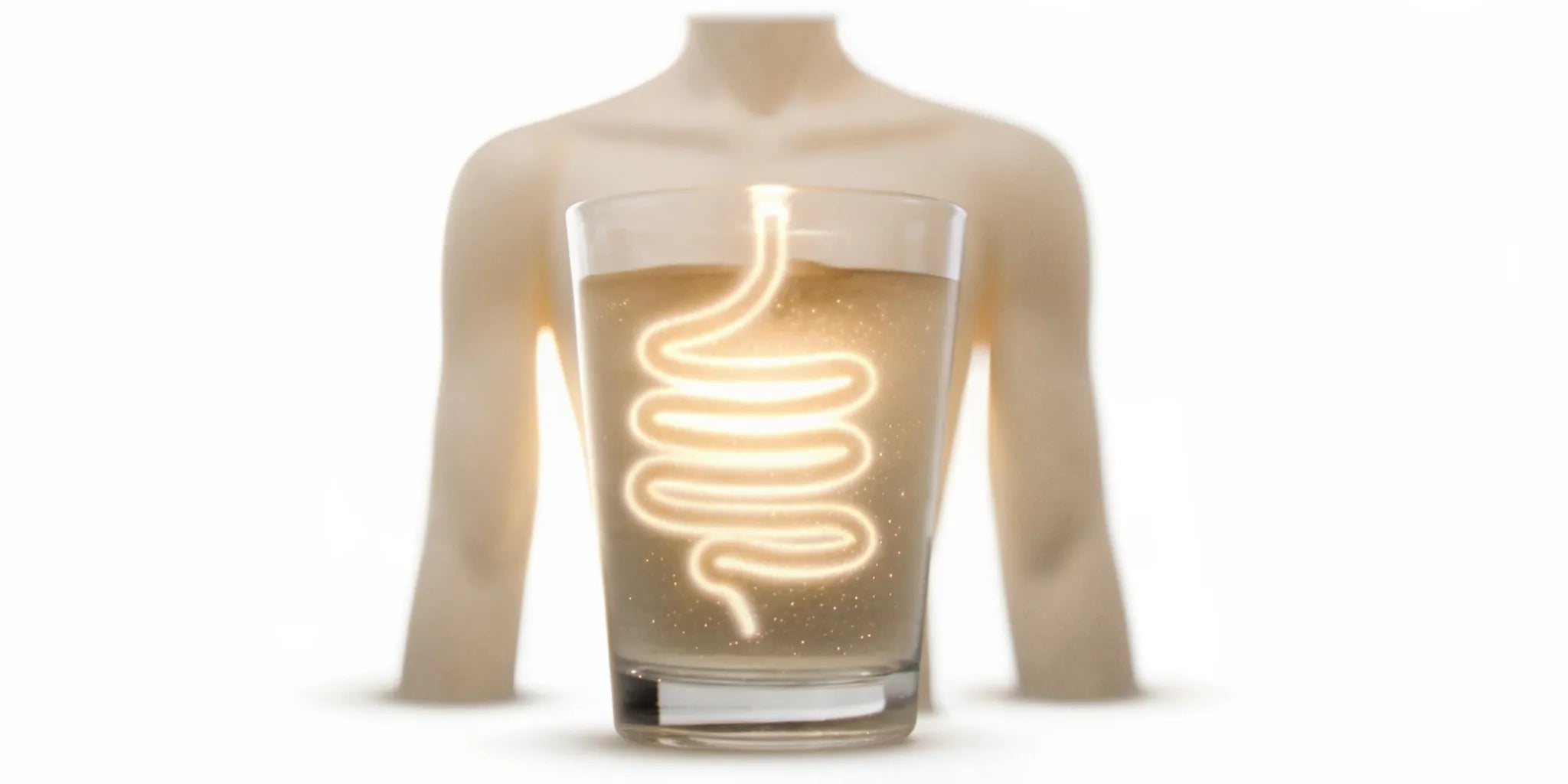 A healthy gut graphic next to a glass of water, representing postbiotics for constipation relief.