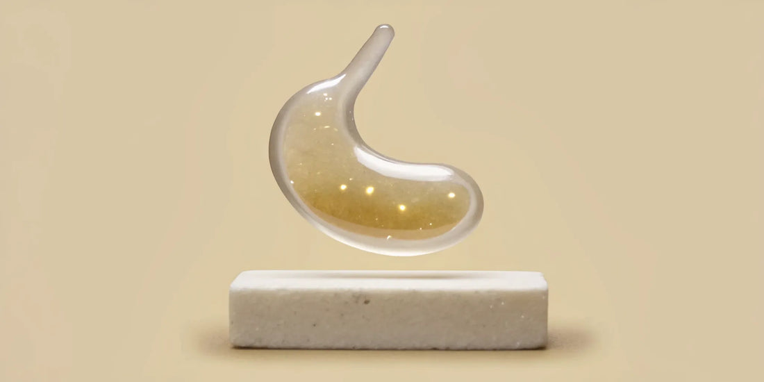 A glass stomach model showing how postbiotics support gut health for IBS relief.