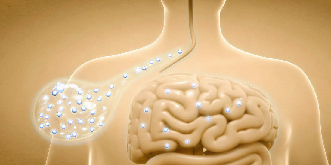 How postbiotics for mental health work via the gut-brain connection.
