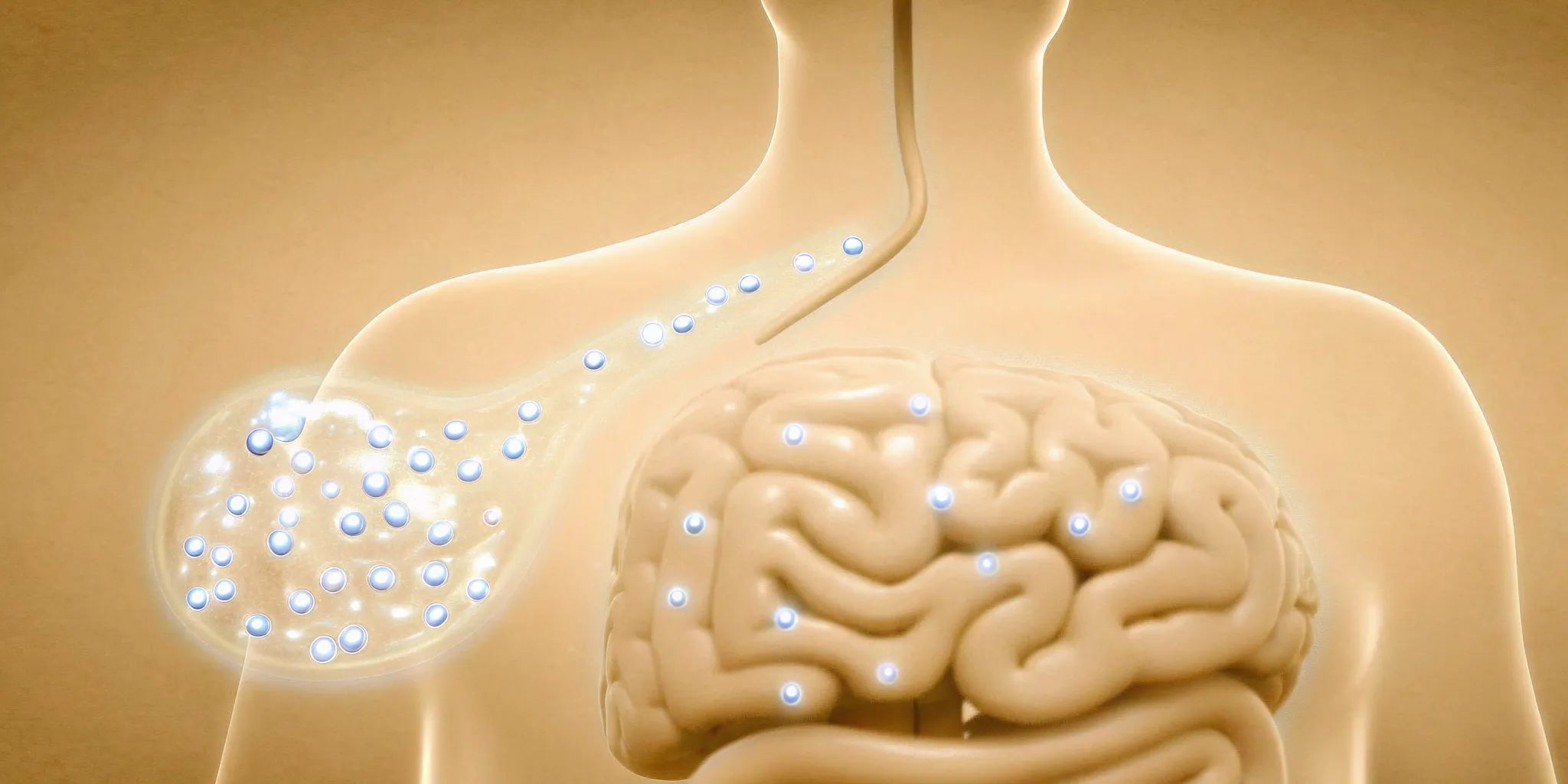 How postbiotics for mental health work via the gut-brain connection.