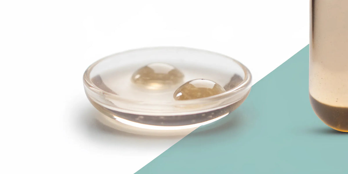 Two drops in a glass dish showing the difference between postbiotics and probiotics for bloating relief.