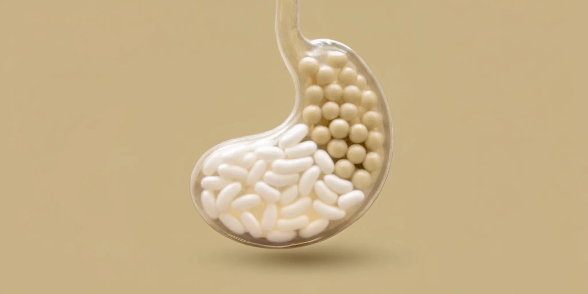 Postbiotic capsules in a stomach-shaped container for weight loss.