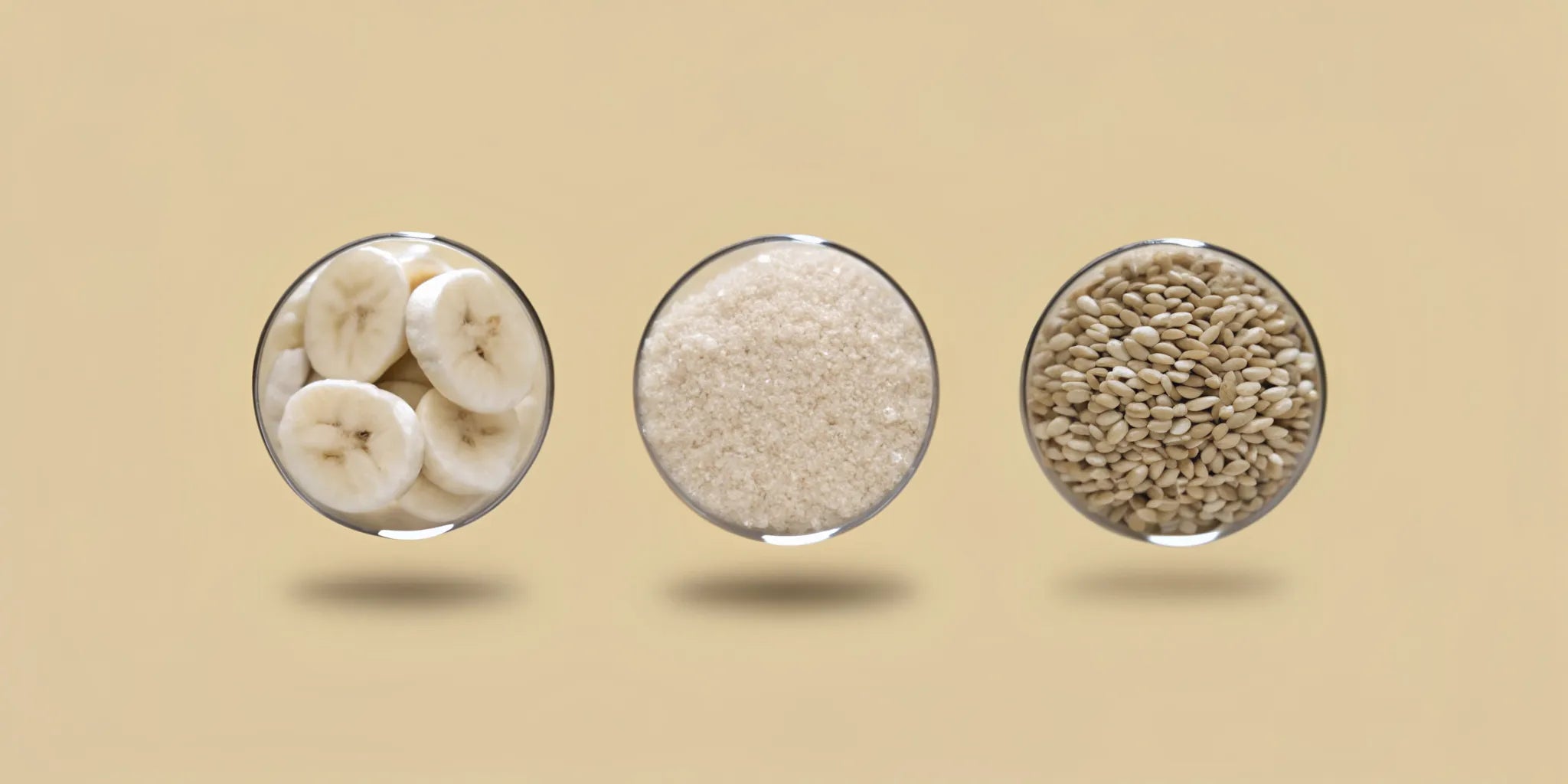 Bowls of prebiotic foods showing the difference between prebiotics, probiotics, and postbiotics.