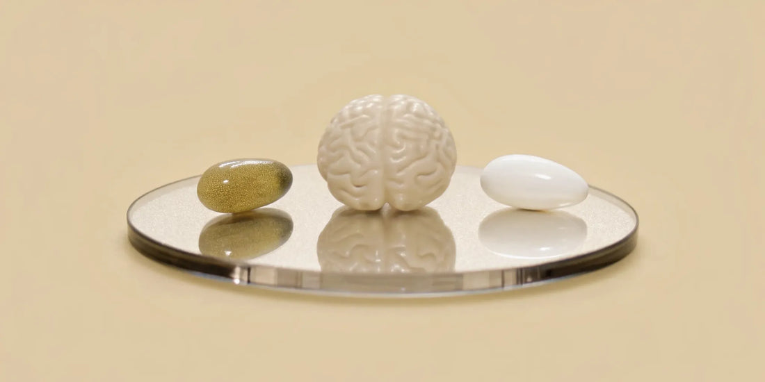 A model of a brain next to the best vitamin capsules for mental clarity.