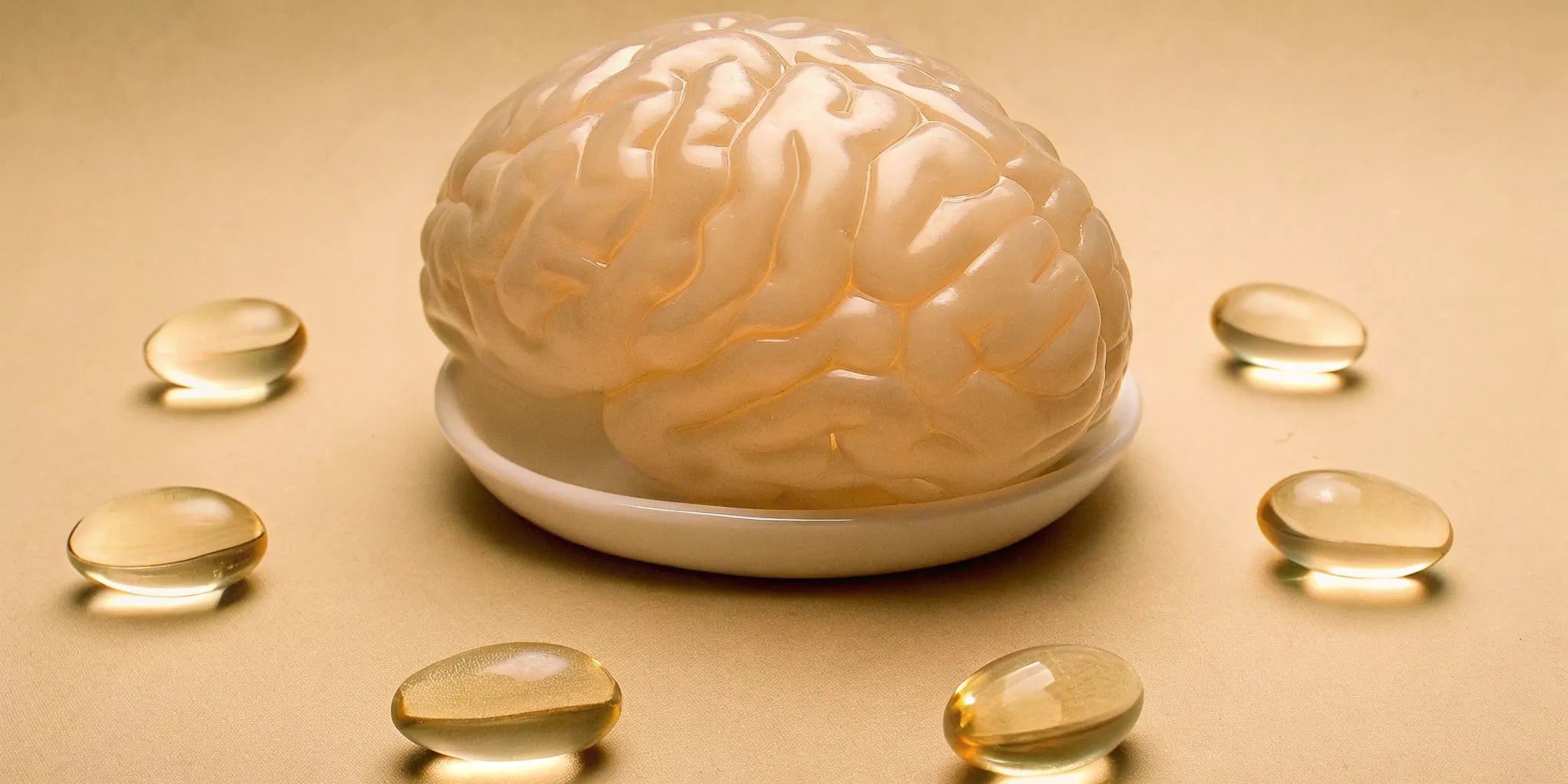 A brain model surrounded by the best vitamins for brain health and focus.