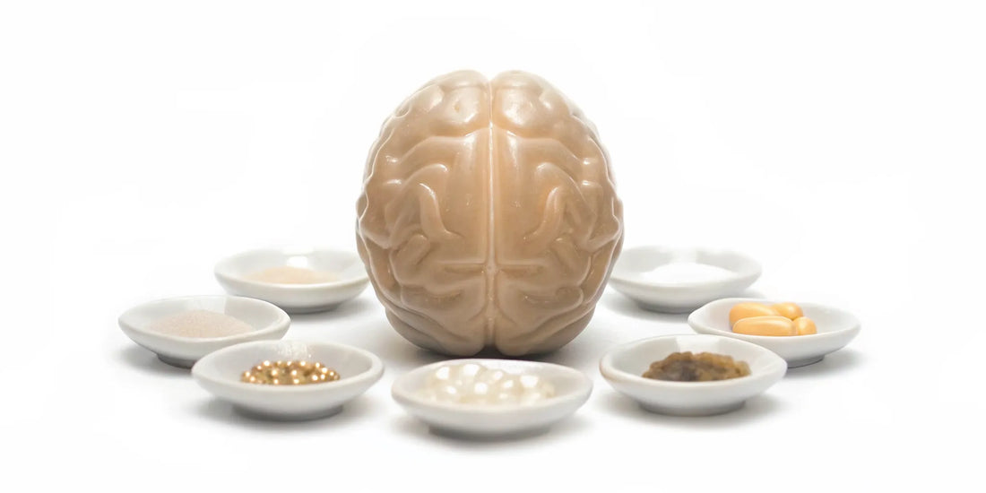 A brain model surrounded by the best vitamins for brain fog and memory.