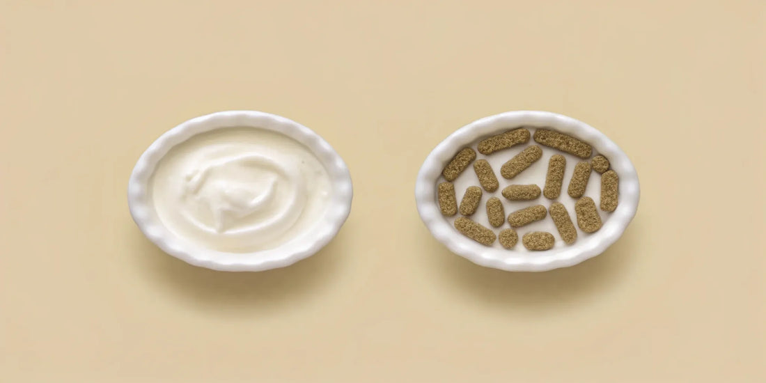 A bowl of yogurt next to a bowl of the best gut health supplement capsules.