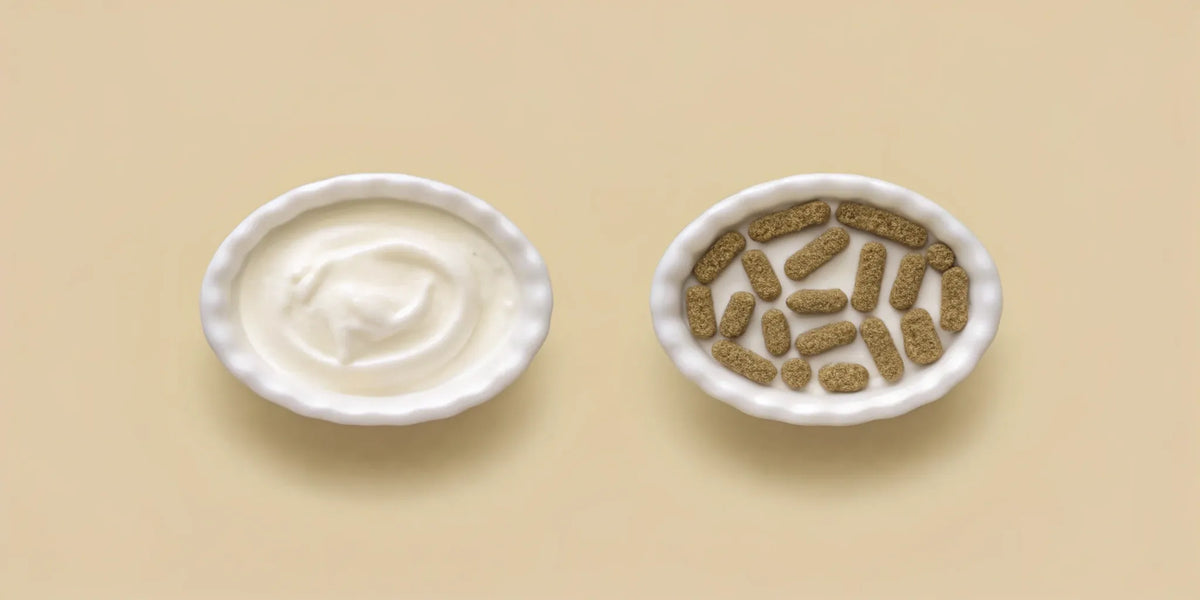 A bowl of yogurt next to a bowl of the best gut health supplement capsules.